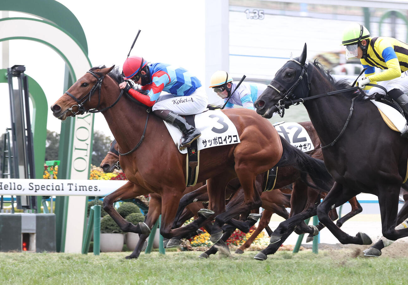 京都5R、3歳未勝利を勝ち上ったサッポロイクコ（撮影・白石智彦）