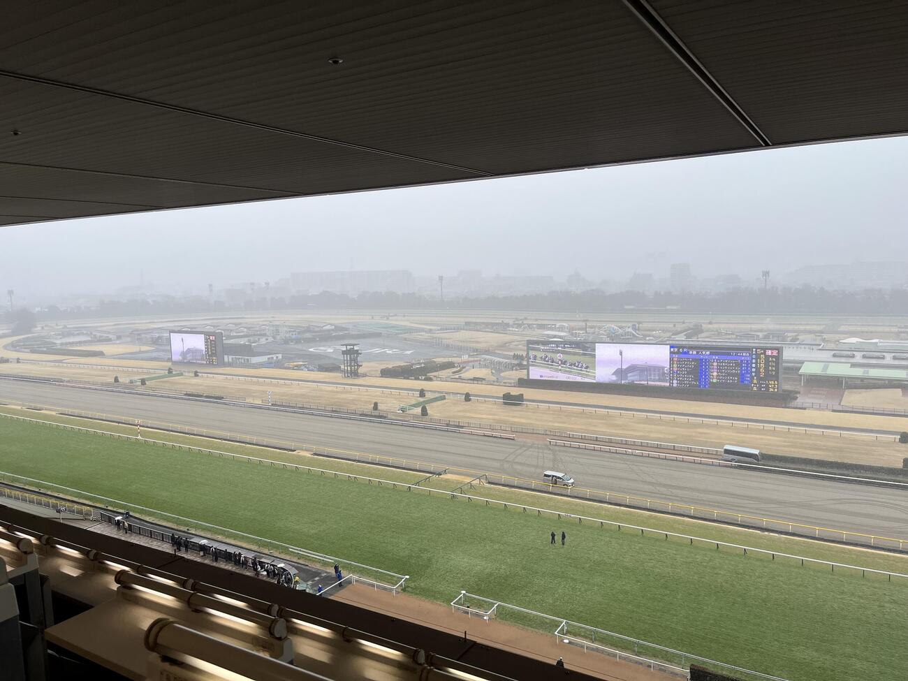 雪の降る東京競馬場
