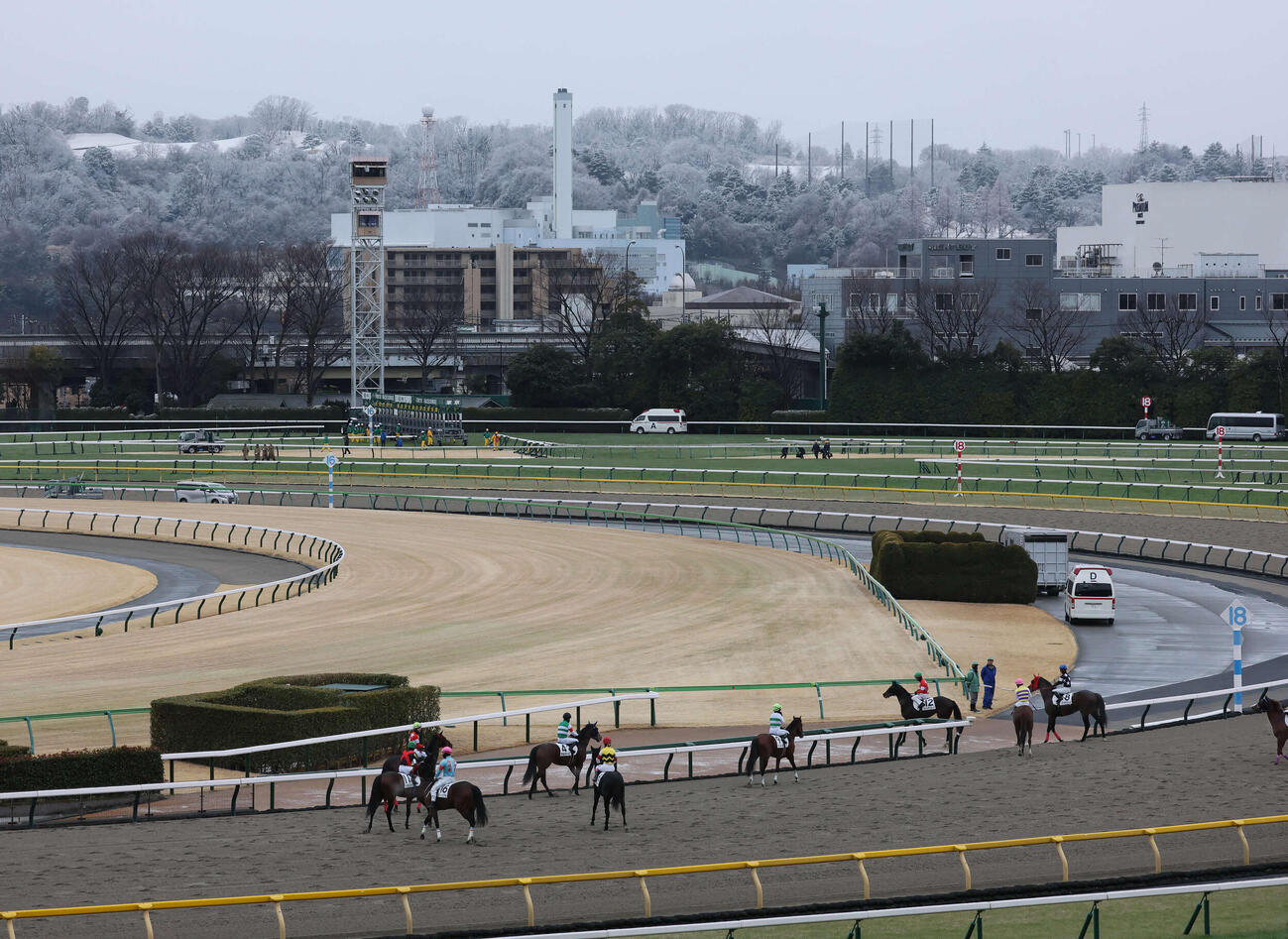 東京8R以降が取りやめとなって引き揚げる出走予定の各馬。後方は雪をかぶった稲城の山（撮影・丹羽敏通）