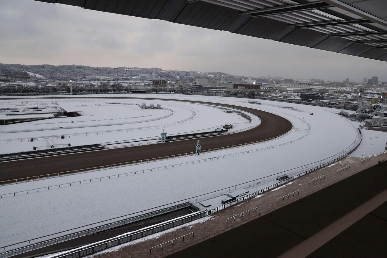 雪のため開催中止が発表された東京競馬場（撮影・丹羽敏通）