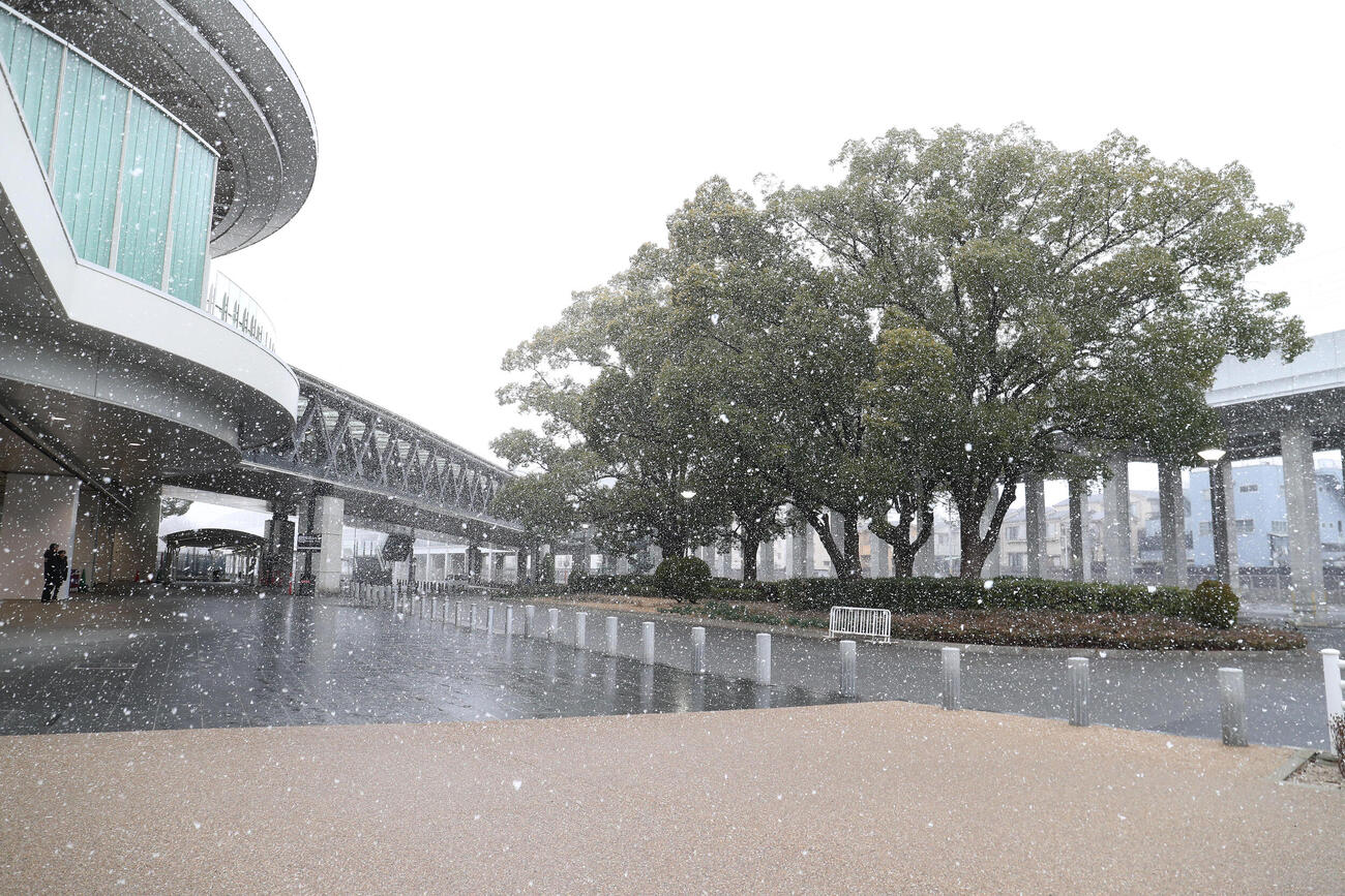 降雪のため開催中止となった京都競馬場（撮影・白石智彦）