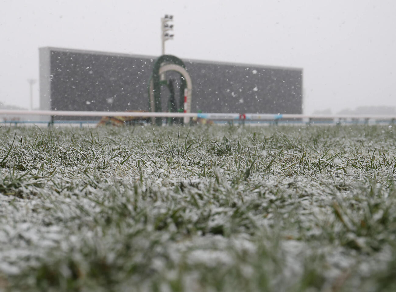 うっすらと雪が積もる京都競馬場の芝コース（撮影・白石智彦）