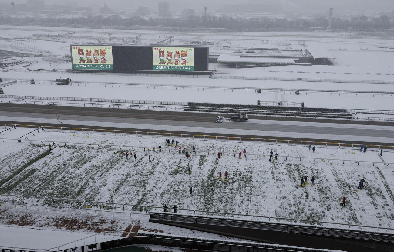 雪のため開催中止が発表された東京競馬場。芝コースでは、人海戦術の除雪作業が始まった（撮影・丹羽敏通）