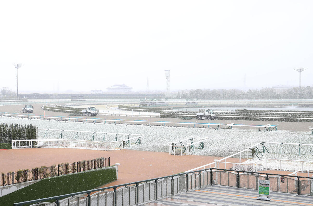 雪が降る京都競馬場のダートコースを整地するハロー車（撮影・白石智彦）