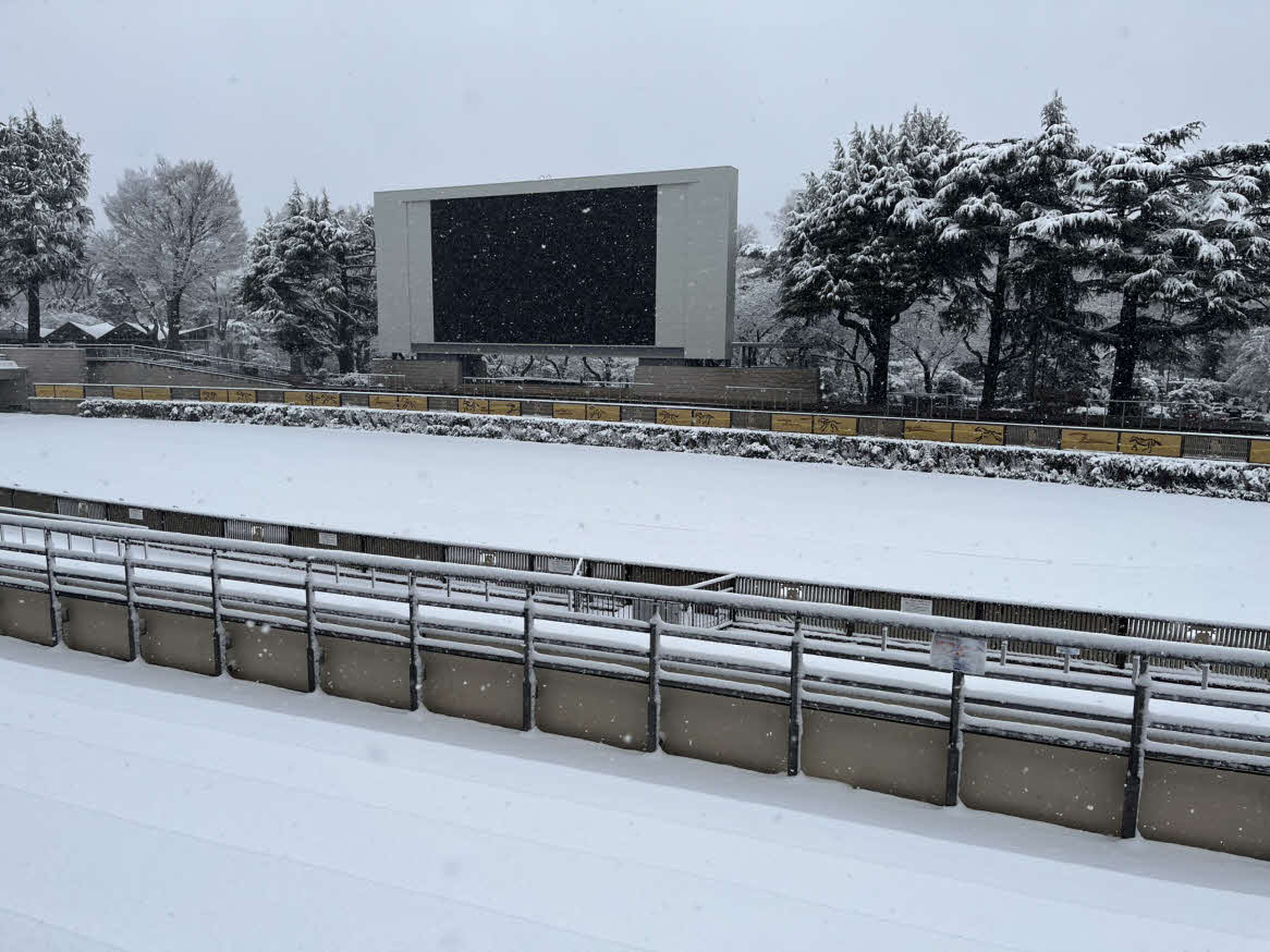 雪の積もった東京競馬場パドック