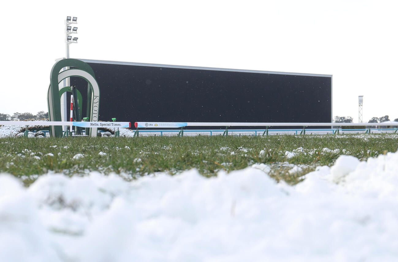 まだ雪が残る京都競馬場の芝コースのゴール板付近（撮影・白石智彦）