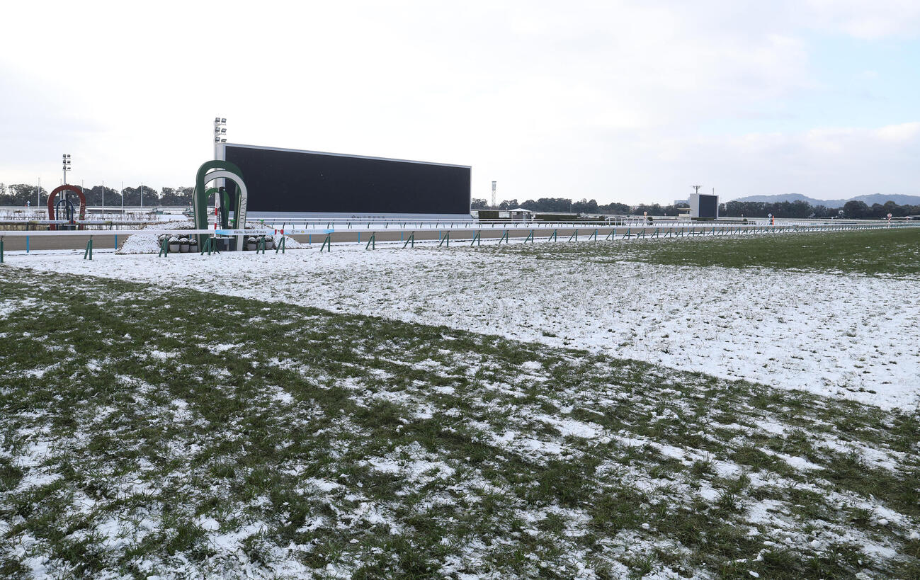 まだ雪が残る京都競馬場の芝コースのゴール板付近（撮影・白石智彦）