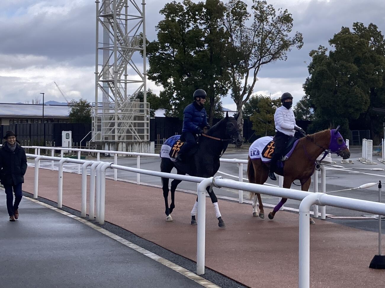 京都競馬場で馬場入りしたゾロアストロ（左）とスリーコーズ。左端は宮田敬介師（撮影・太田尚樹）