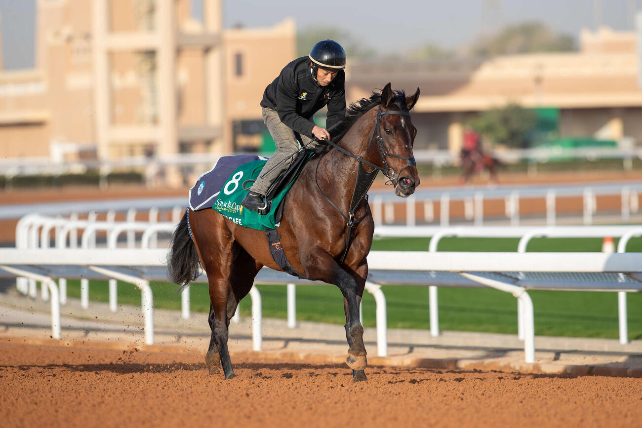 追い切りを行ったルクソールカフェ(C)Jockey Club of Saudi Arabia／Ali Abdullah Alzunaydi