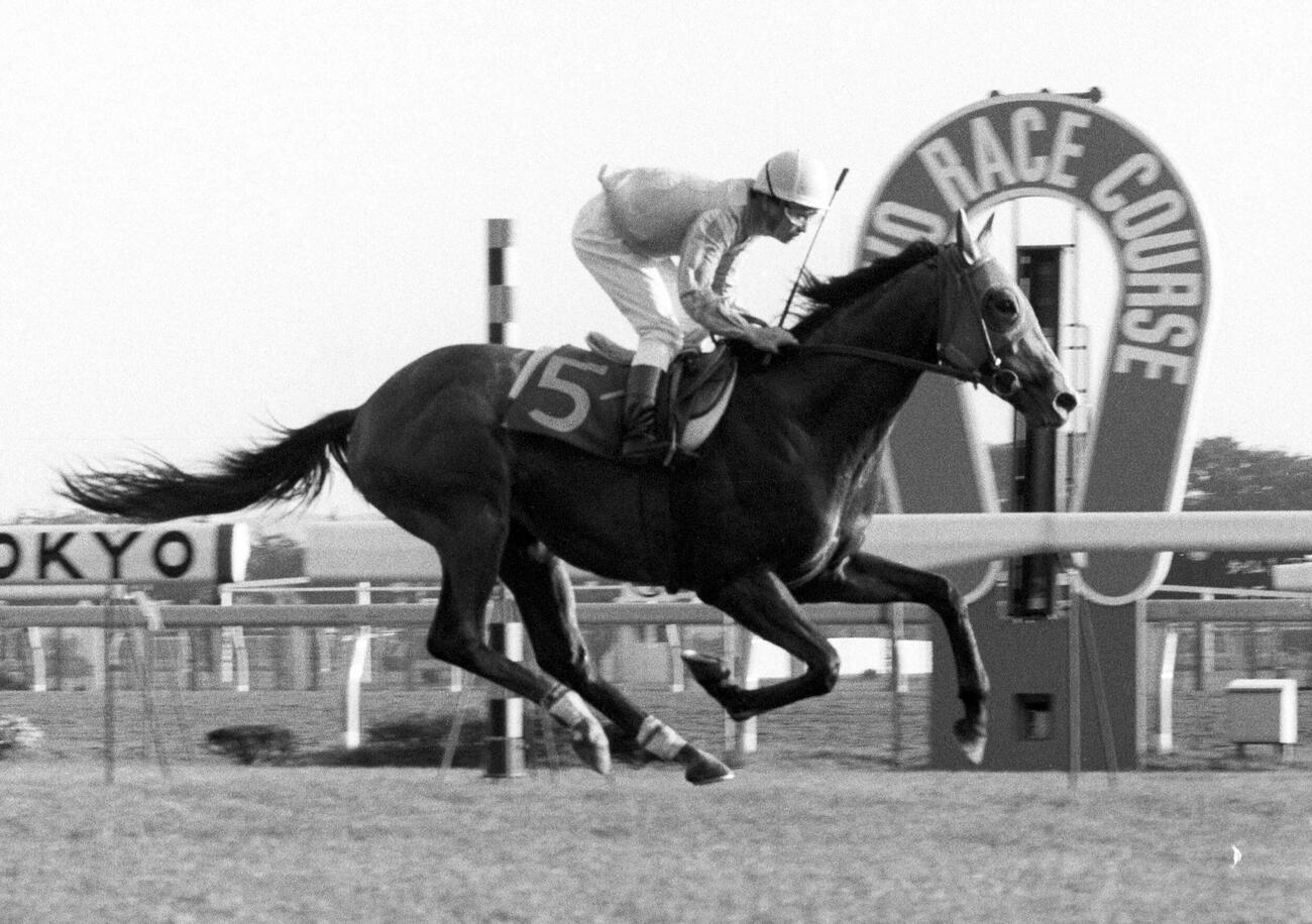 86年11月、京成杯3歳ステークスを制したホクトヘリオス