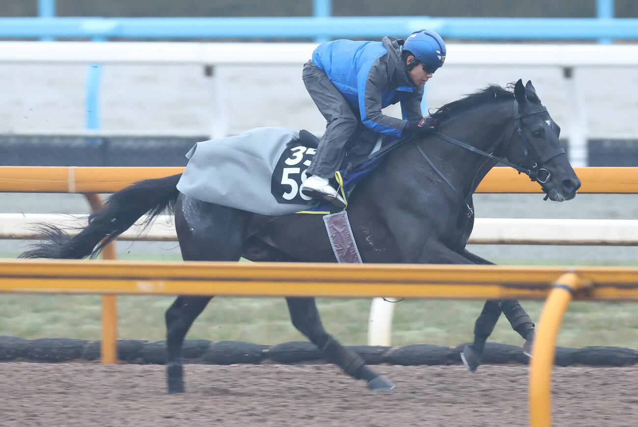 北村友一騎手を背にCウッドコースで追い切るベレシート