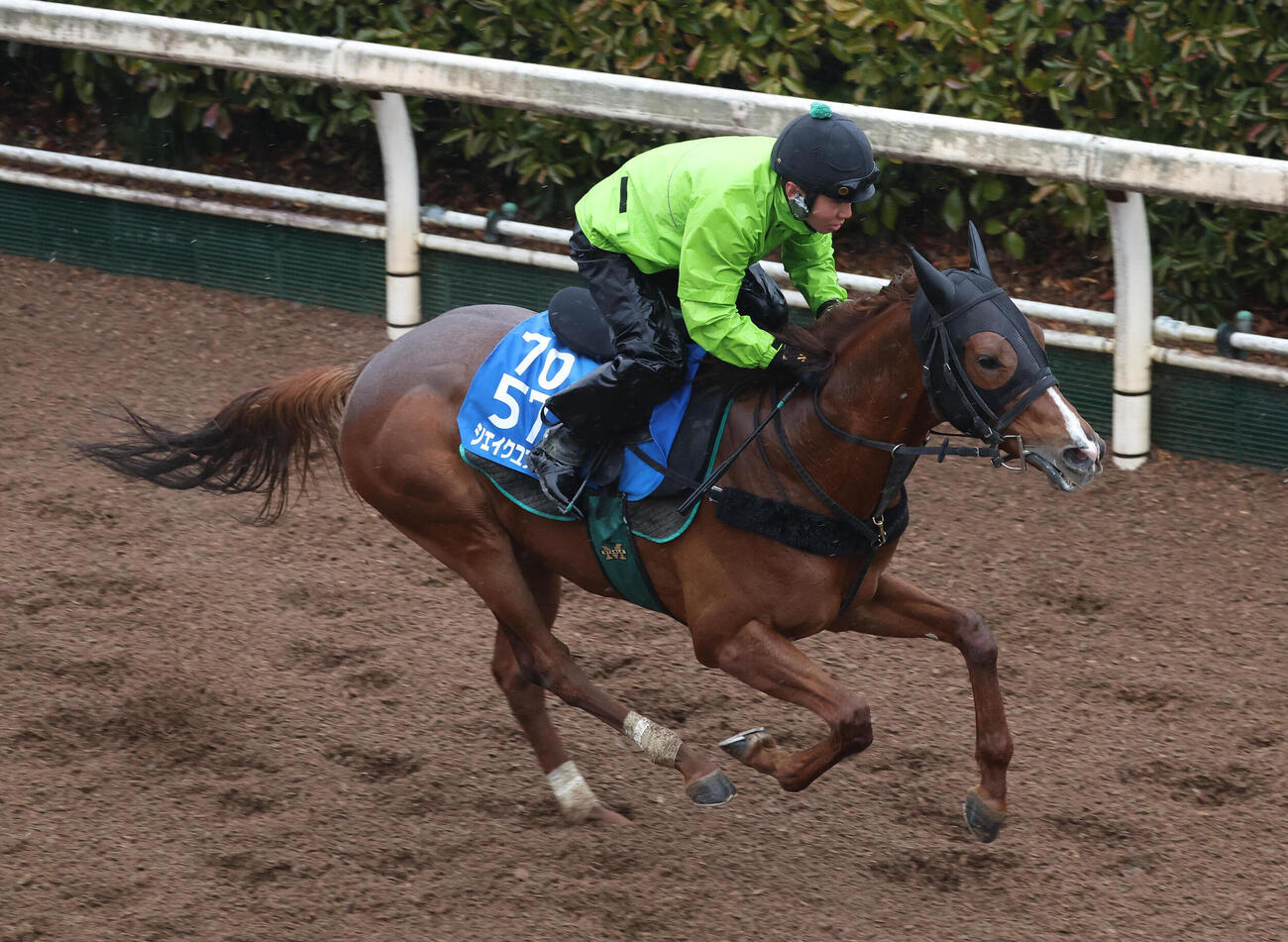 11日、坂路を単走で追い切るシェイクユアハート