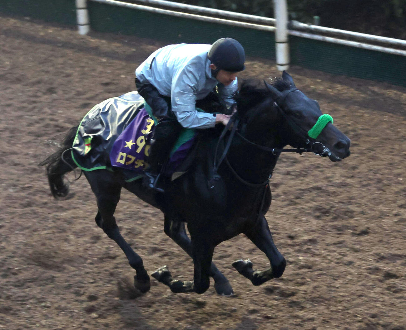原田が推す2戦2勝G1馬ロブチェンか、桑原が推す期待の新星ラヴェ