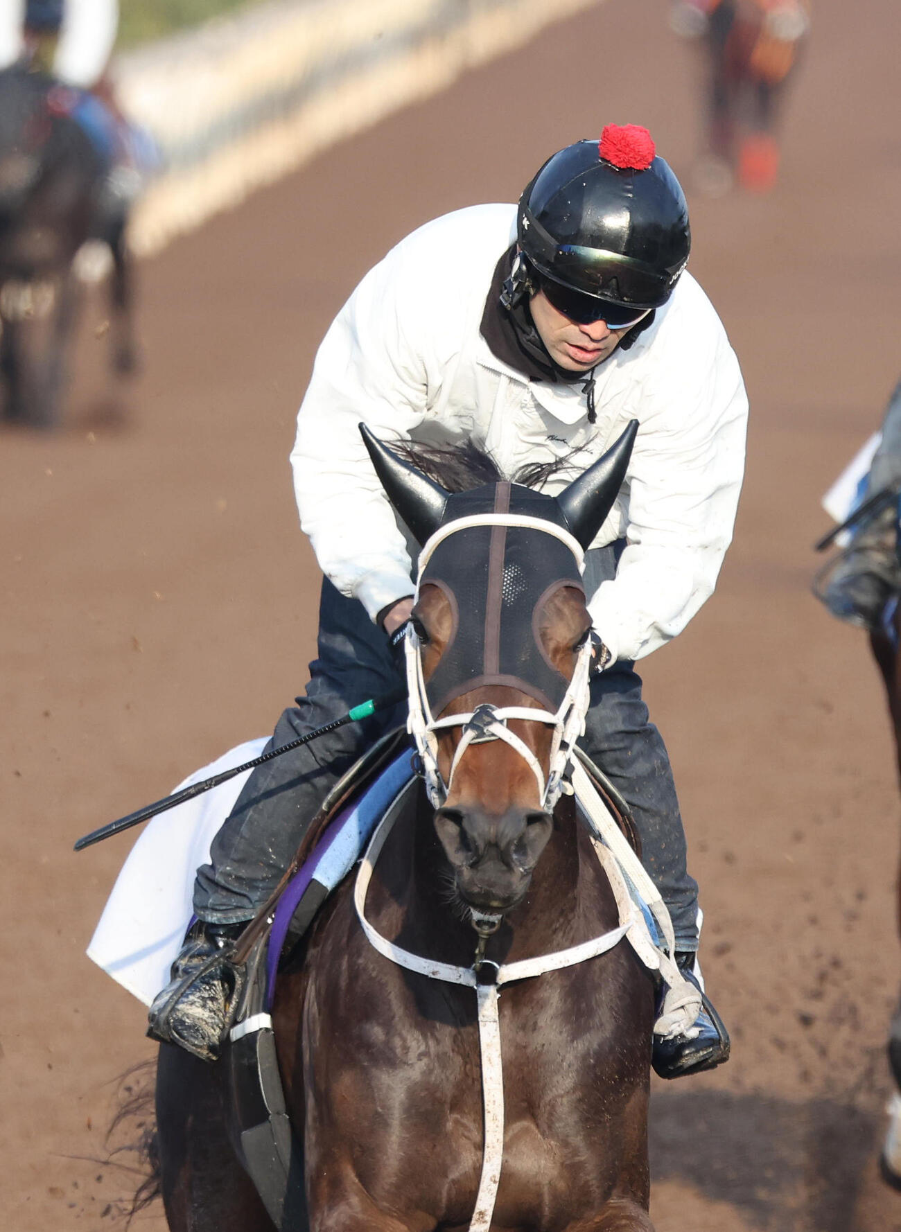 坂路を併せ馬で追い切るダブルハートボンド（撮影・白石智彦）