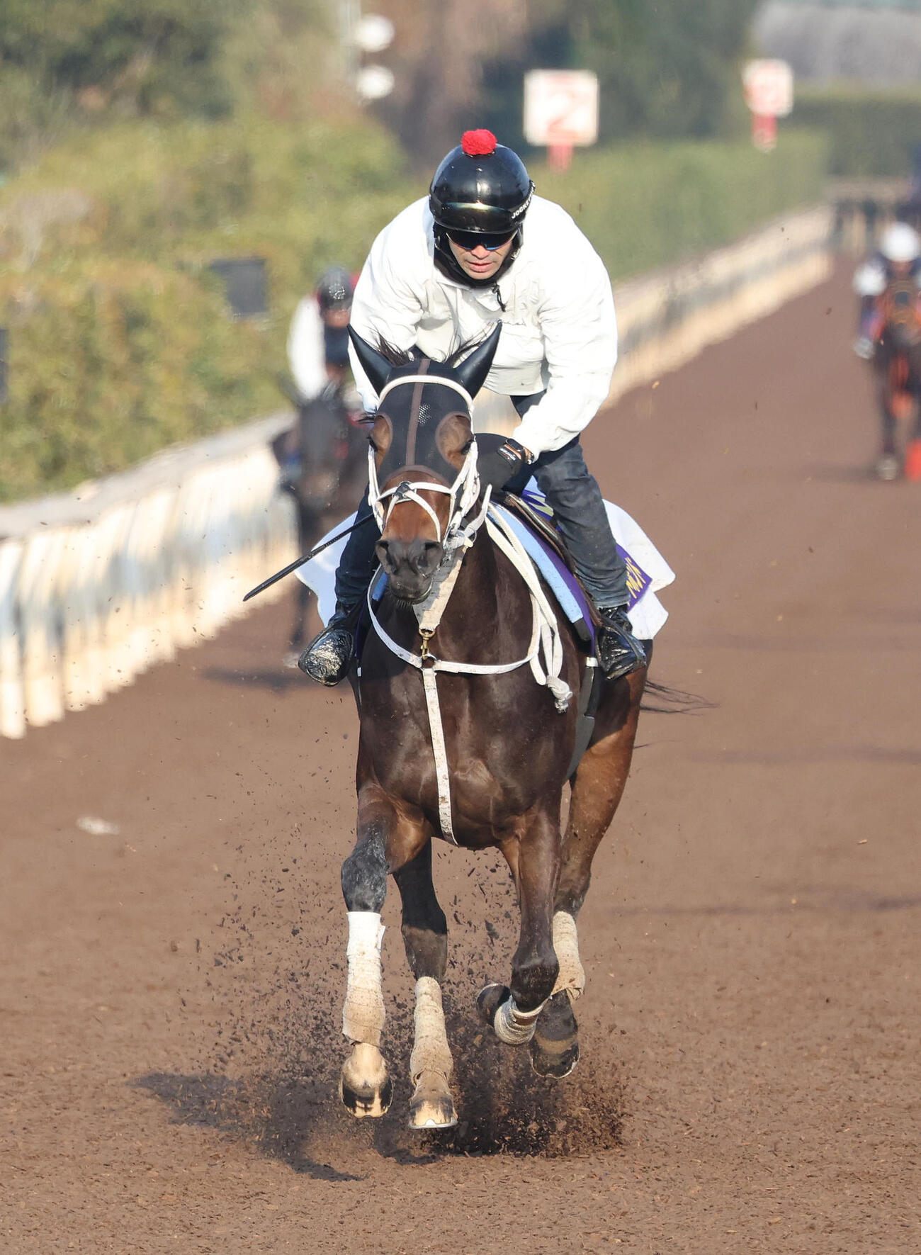 坂路を併せ馬で追い切るダブルハートボンド（撮影・白石智彦）