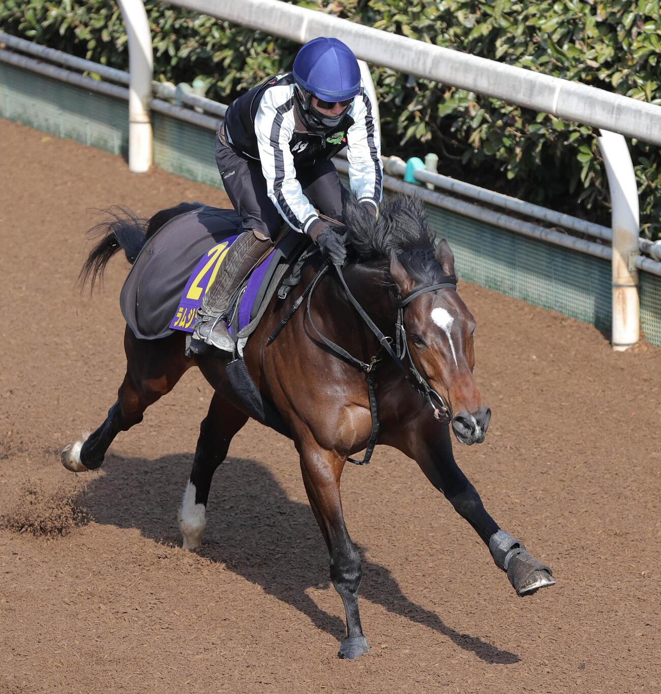 坂路を駆け上がるラムジェット