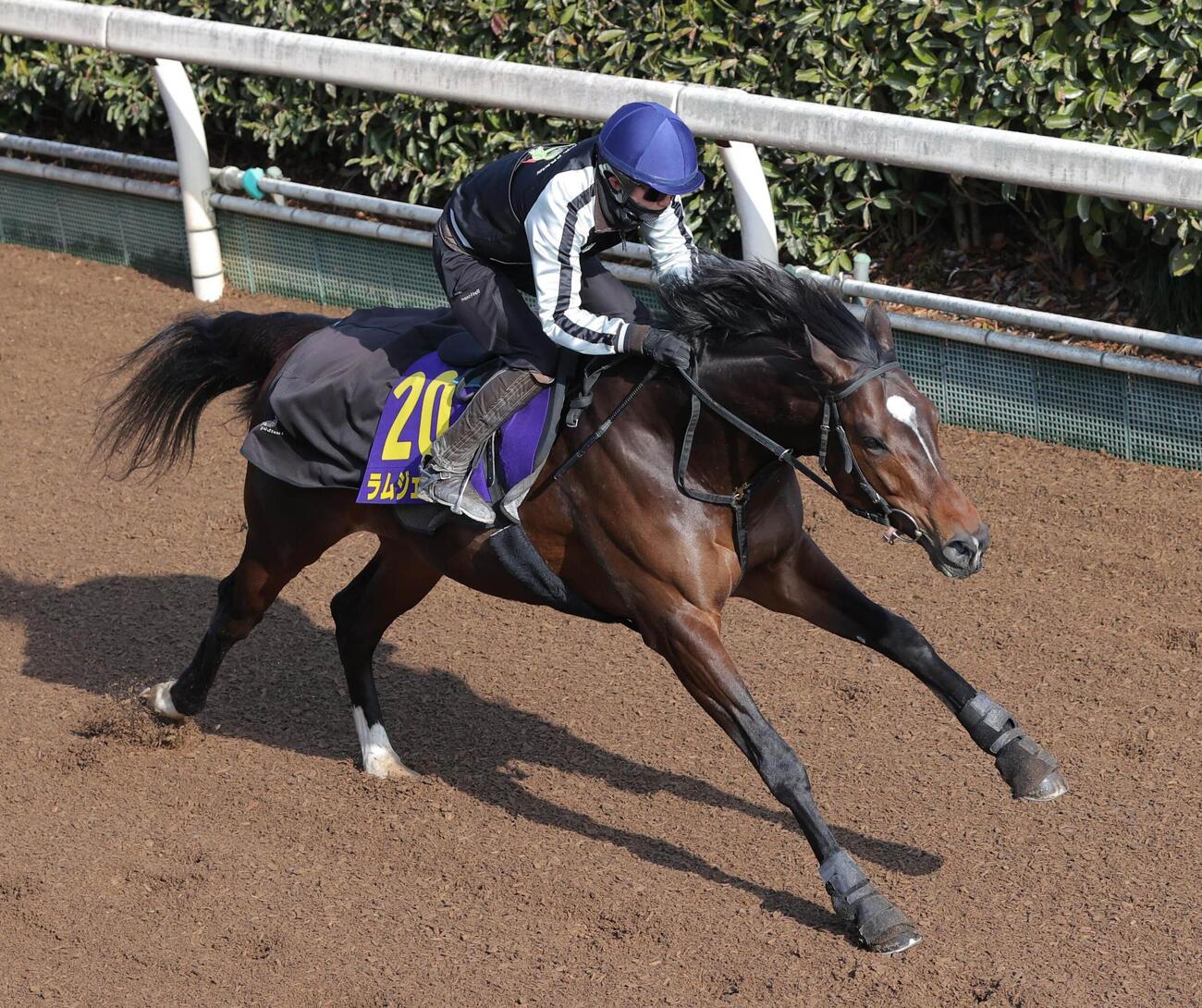 坂路を駆け上がるラムジェット