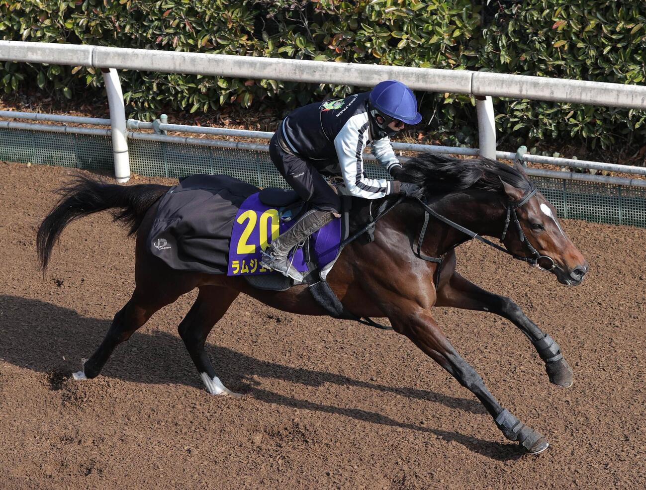 坂路を駆け上がるラムジェット