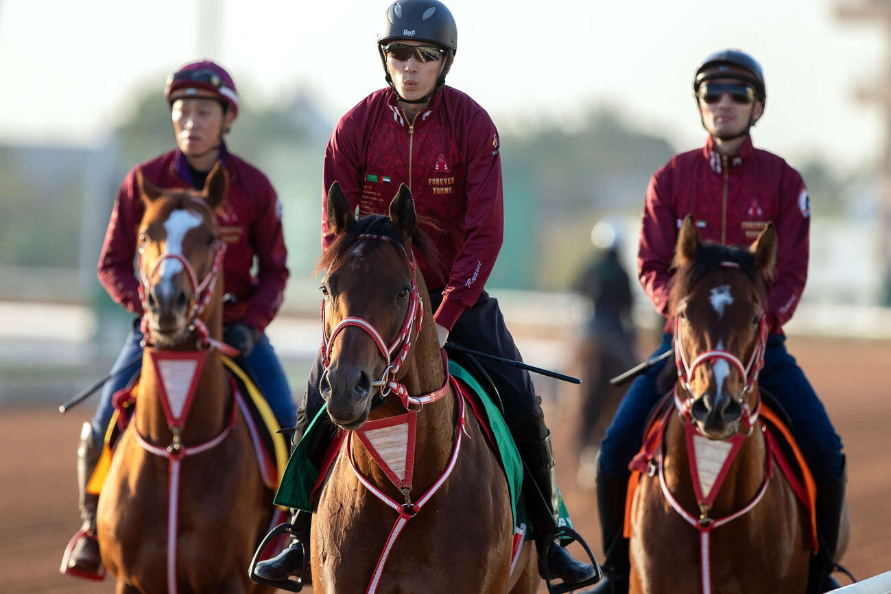 調整する矢作厩舎3頭（（C）Jockey Club of Saudi Arabia／Ali Abdullah Alzunaydi）
