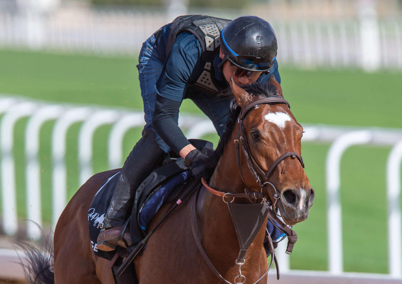 追い切られるサトノボヤージュ（（C）Jockey Club of Saudi Arabia／／Erika Rasmussen）