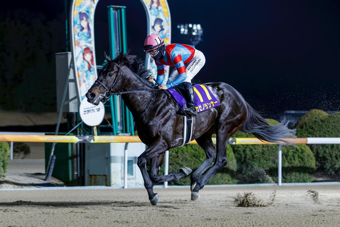 佐賀記念を6馬身差で圧勝し重賞初制覇を飾ったカゼノランナー（佐賀県競馬組合提供）