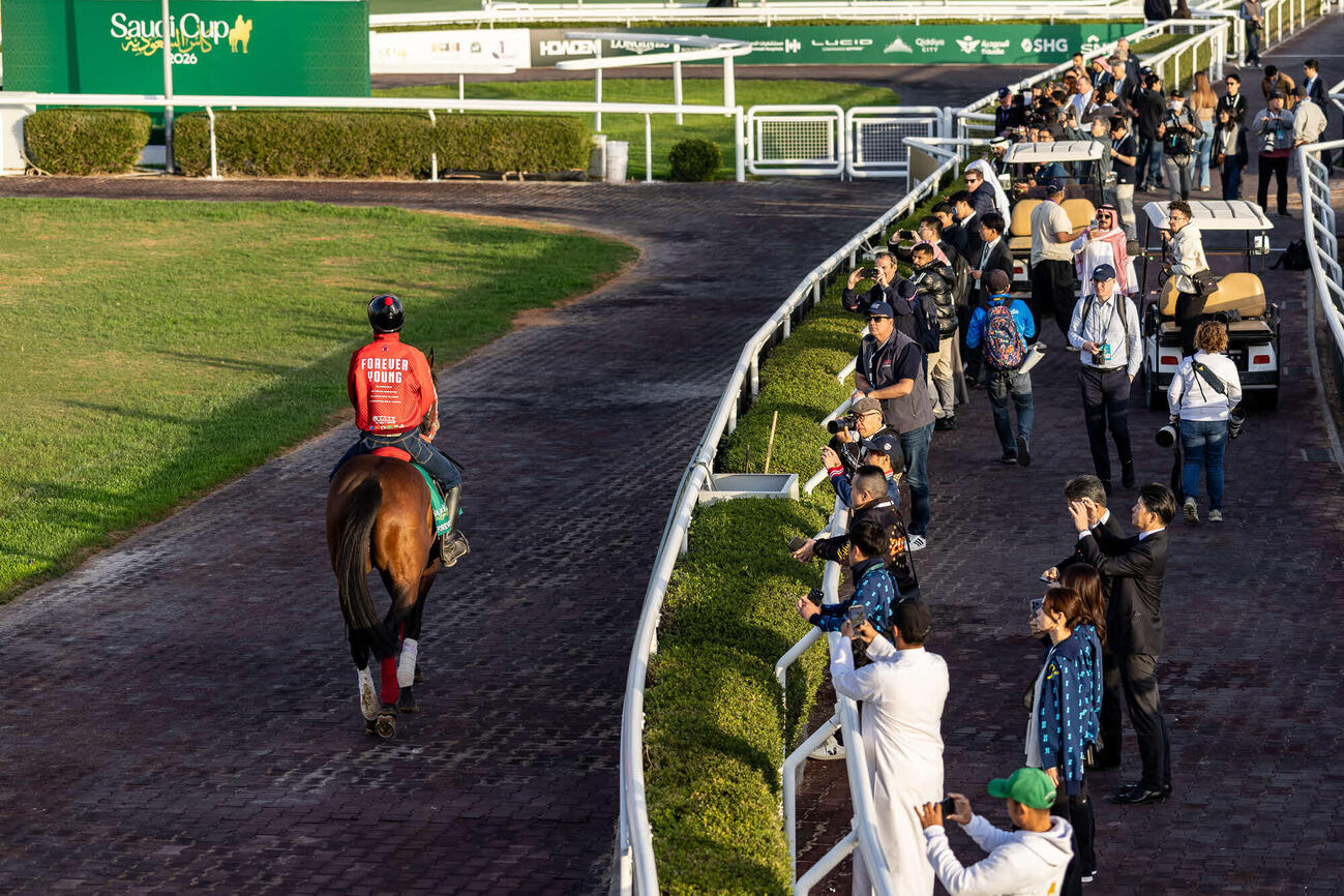 注目を集めるフォーエバーヤング（C）Jockey　Club　of　Saudi　Arabia／Neville　Hopwood