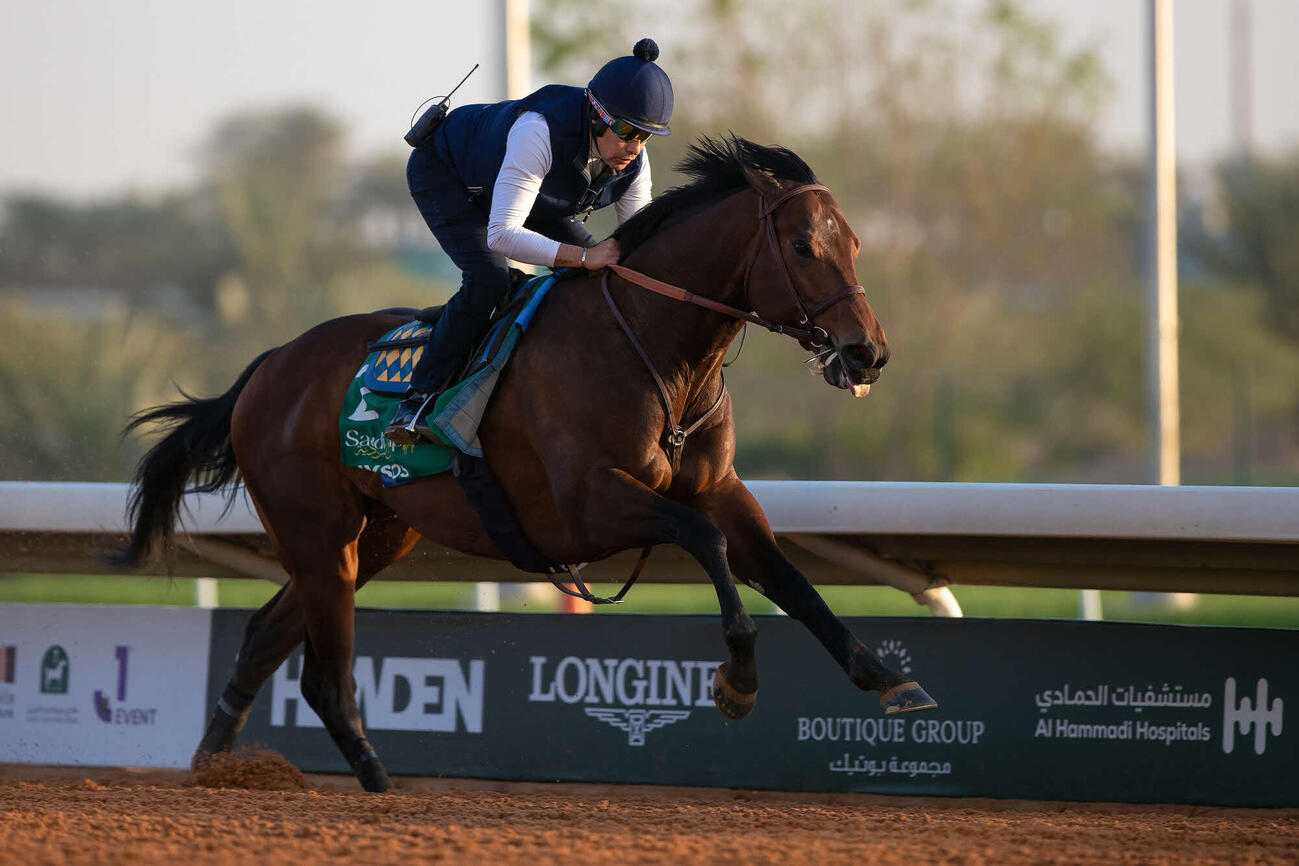 追い切られるナイソス（C）Jockey　Club　of　Saudi　Arabia／Ali　Abdullah　Alzunaydi