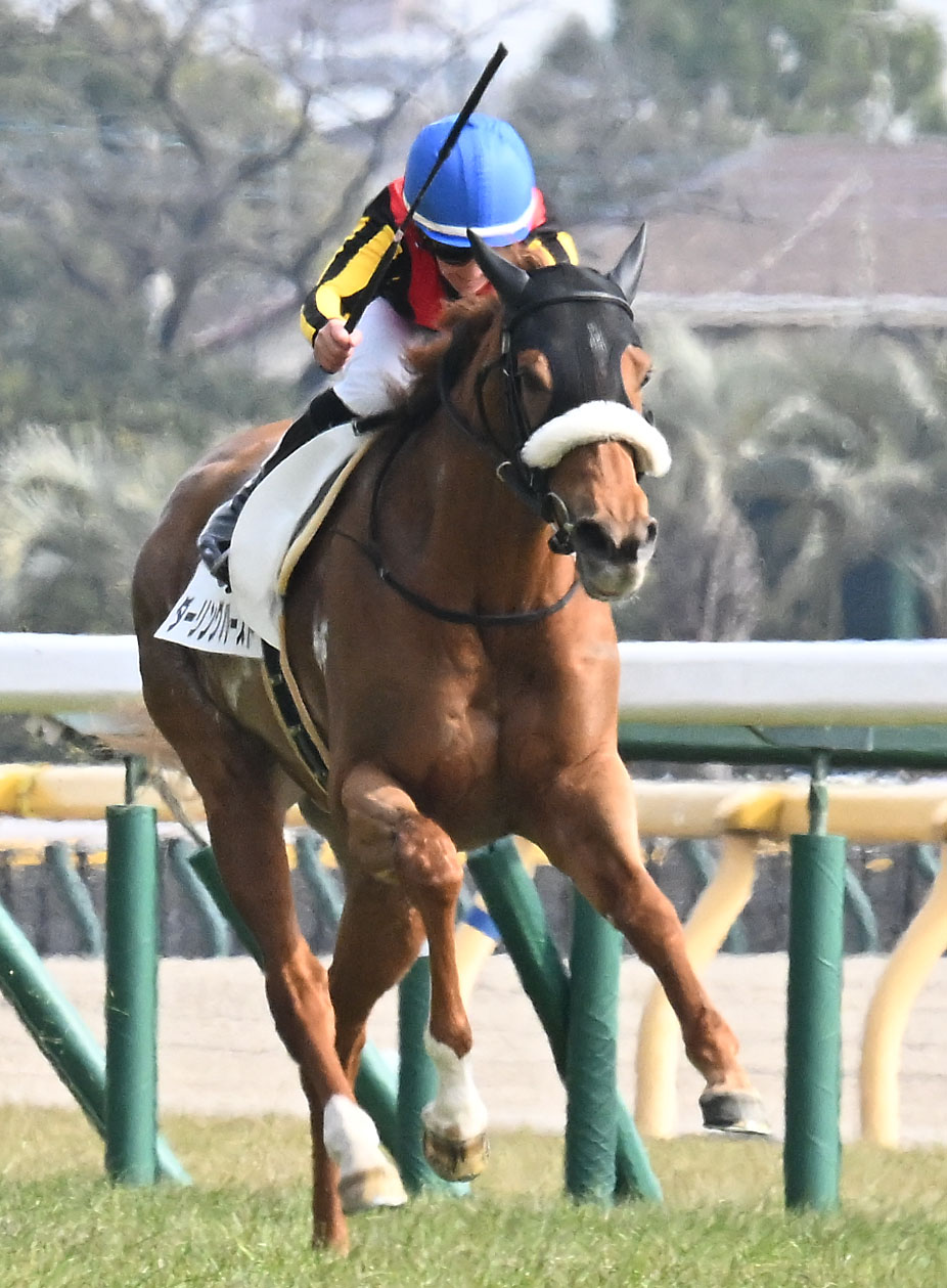 東京6R、3歳牝馬限定の未勝利戦を制したダーリングハーストとキング騎手（撮影・千葉一成）