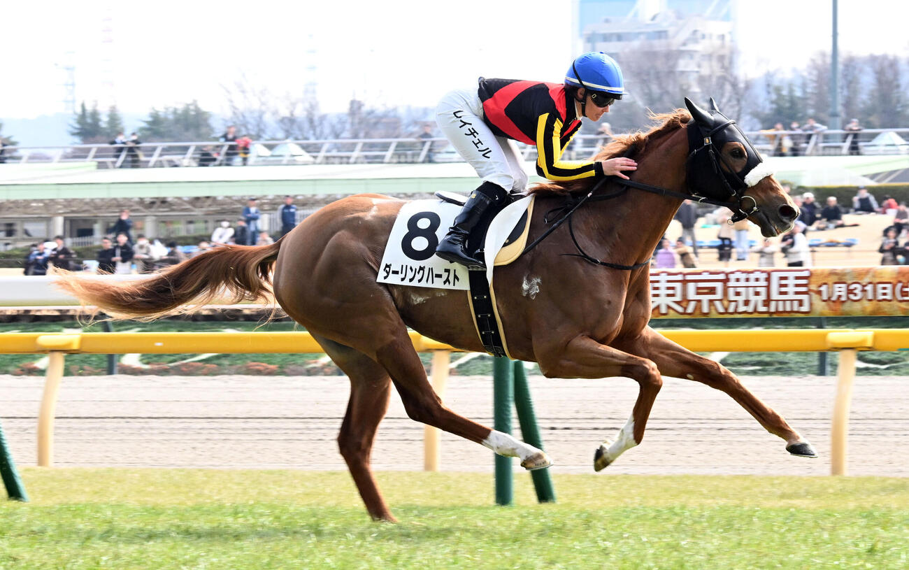 東京6R、3歳牝馬限定の未勝利戦を制したダーリングハーストとキング騎手（撮影・千葉一成）
