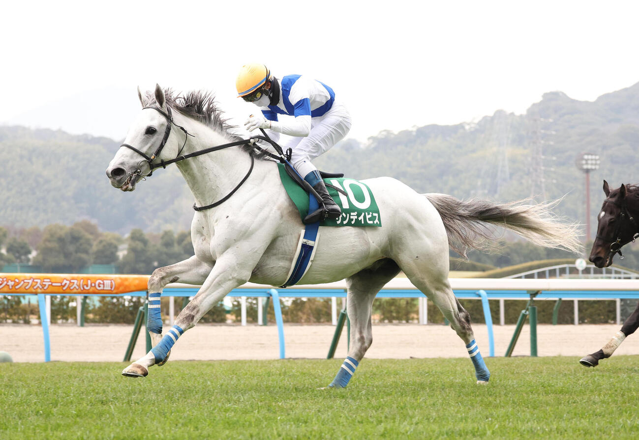 サンデイビスで小倉ジャンプSを制しJRA通算100勝を達成した上野騎手（撮影・白石智彦）