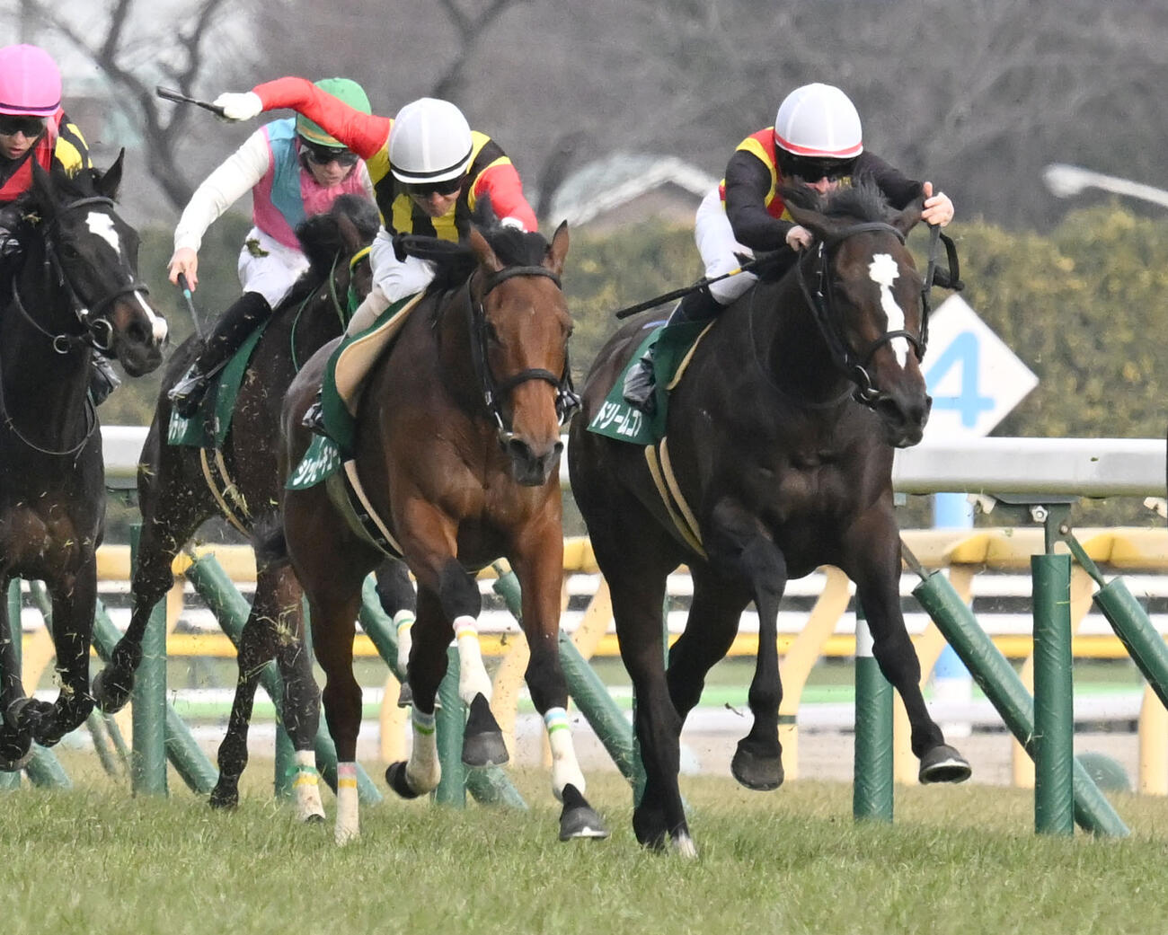 東京11R、デイリー杯クイーンCを制したドリームコアとルメール騎手（右）（撮影・千葉一成）
