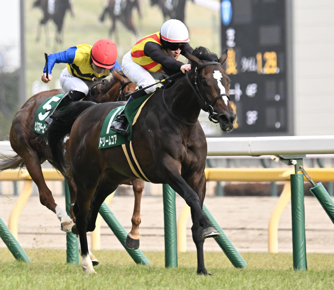 東京11R、デイリー杯クイーンCを制したドリームコアとルメール騎手（撮影・千葉一成）
