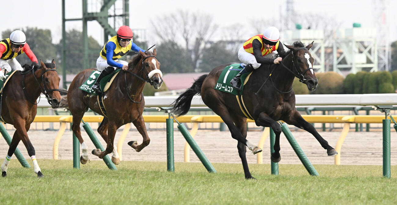 東京11R、デイリー杯クイーンCを制したドリームコアとルメール騎手（右）（撮影・千葉一成）