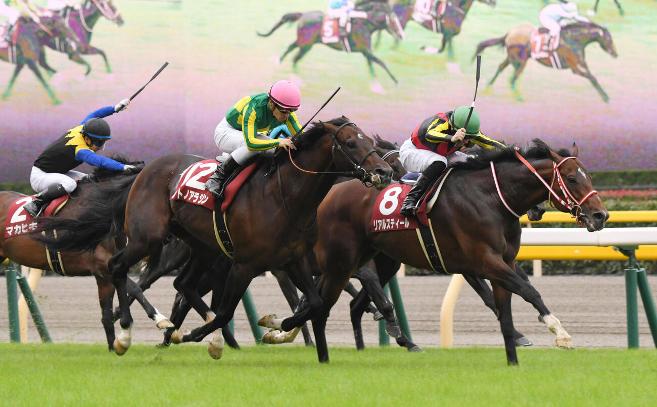17年毎日王冠を制したリアルスティール（右）