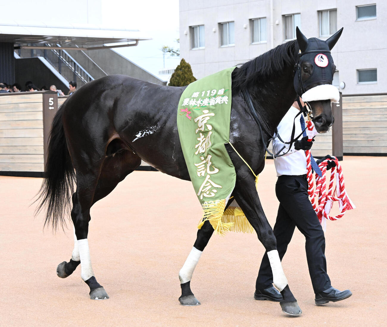 京都11R　京都記念を制したジューンテイク（撮影・石井愛子）