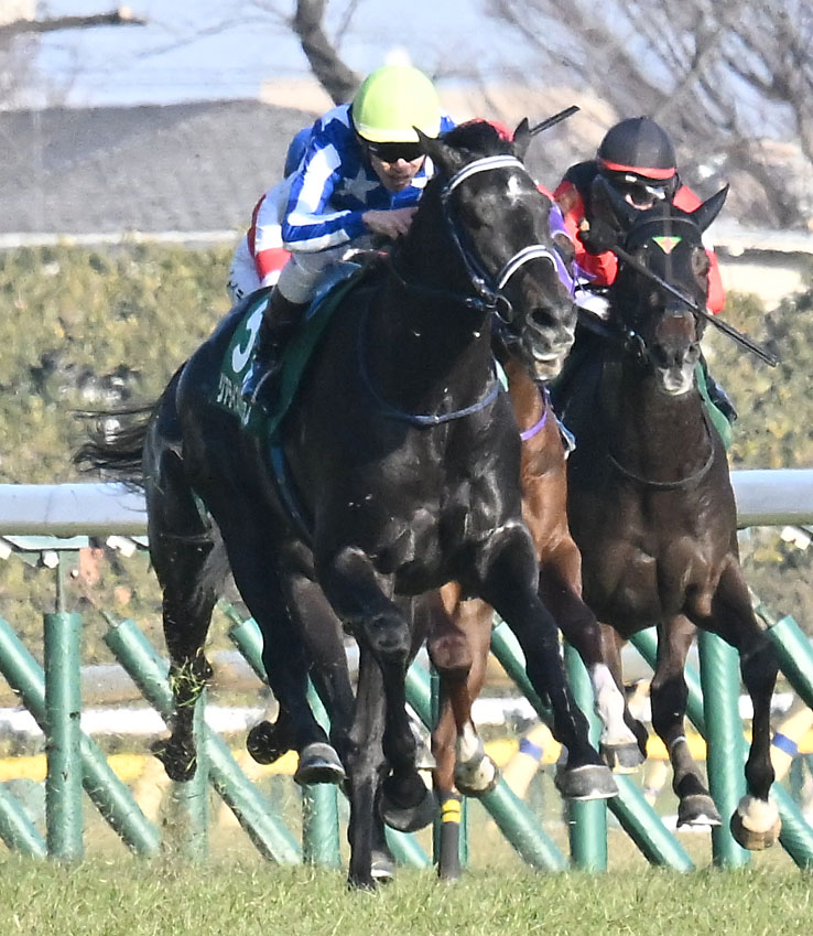 共同通信杯を制したリアライズシリウスと津村騎手（左）（撮影・千葉一成）