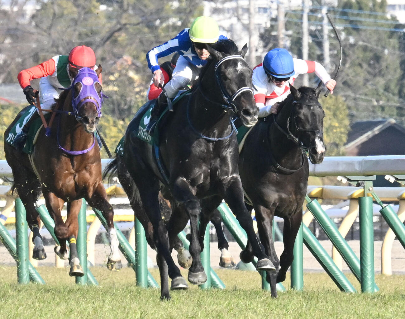 共同通信杯を制したリアライズシリウスと津村騎手（中央）（撮影・千葉一成）
