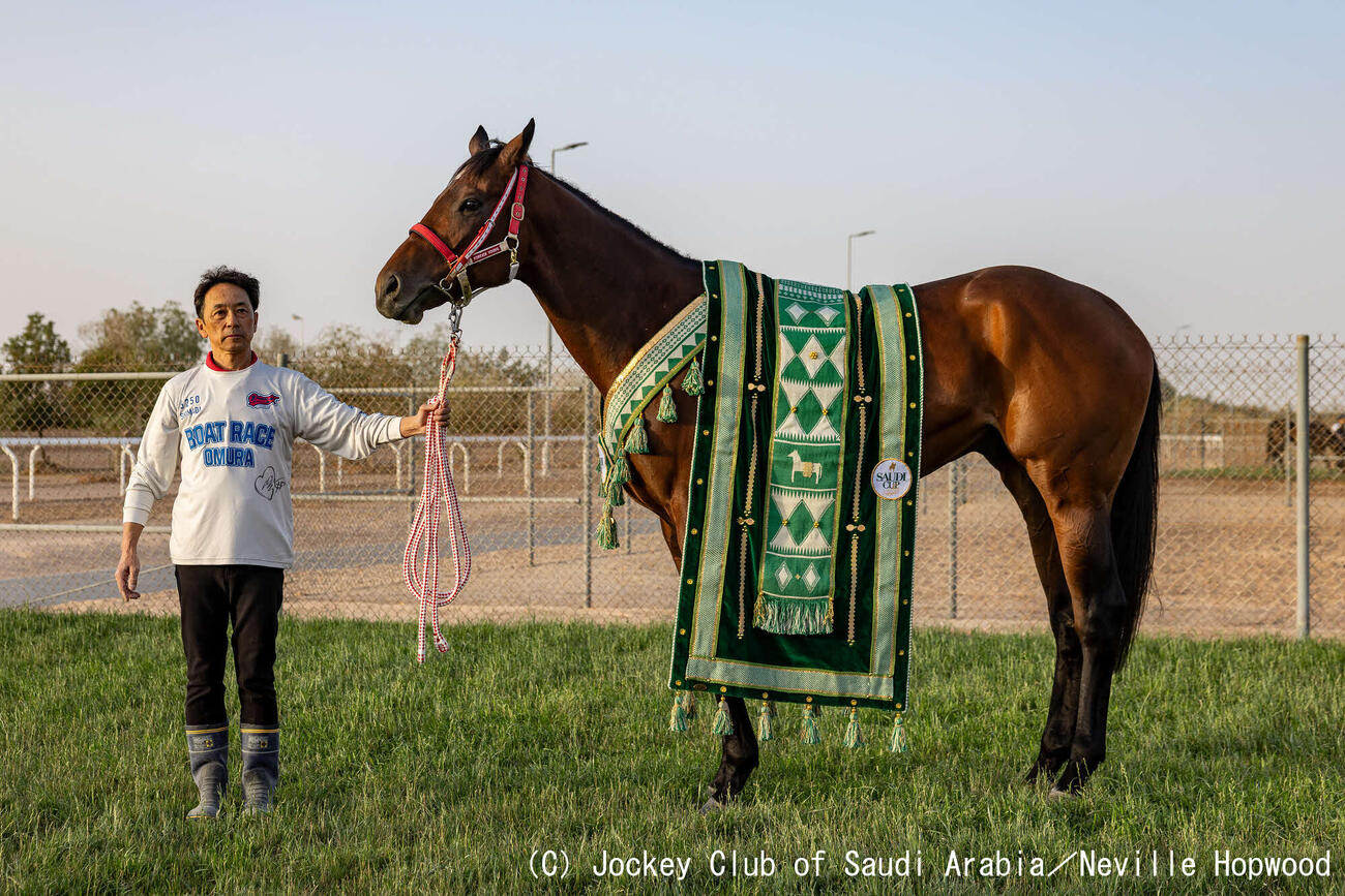 サウジC連覇翌日のフォーエバーヤング（（C）Jockey Club of Saudi Arabia／Neville Hopwood）