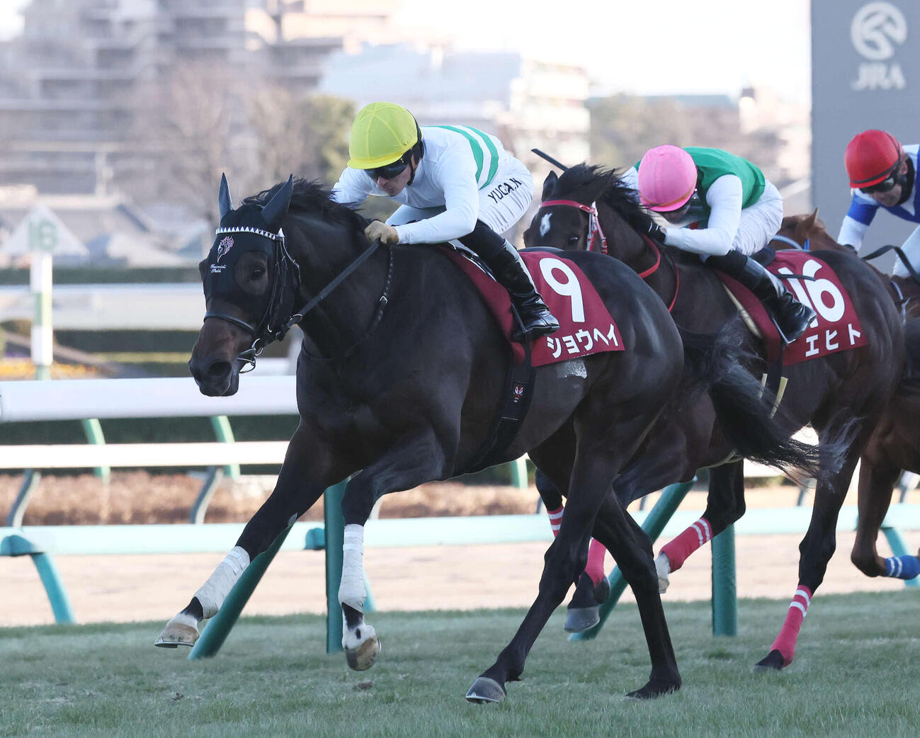 AJCCを制したショウヘイと川田騎手