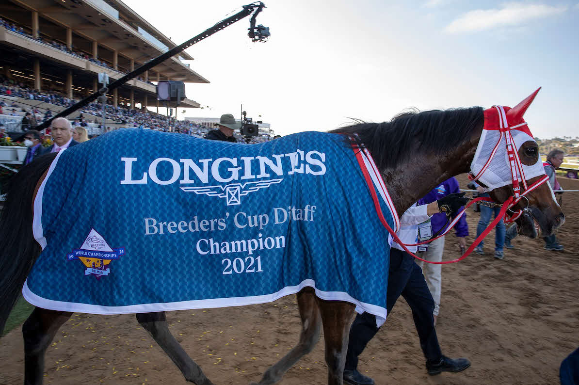 BCディスタフを制したマルシュロレーヌ（C）Eclipse Sportswire／Breeders’Cup Photos