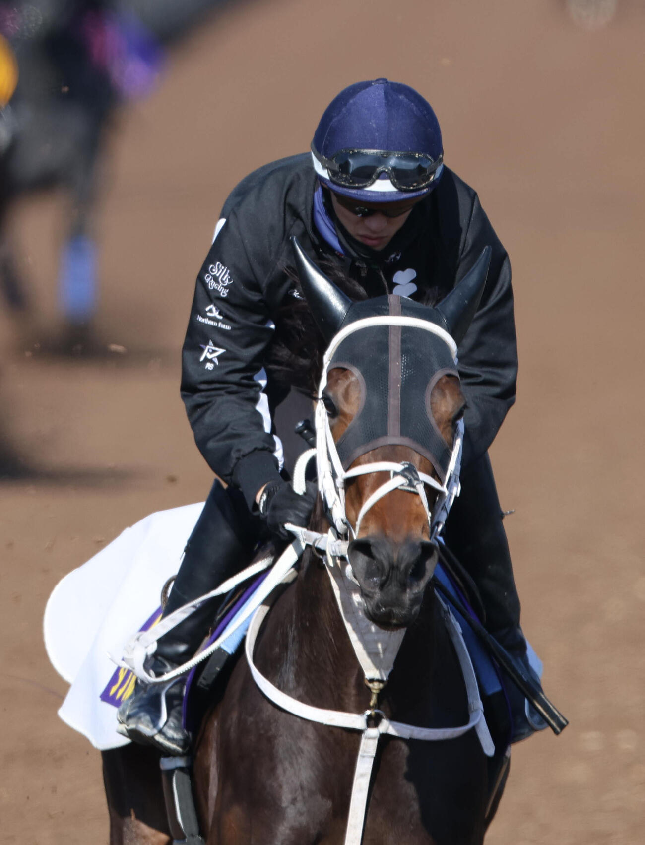 坂井騎手を背に坂路を単走で追い切るダブルハートボンド（撮影・白石智彦）