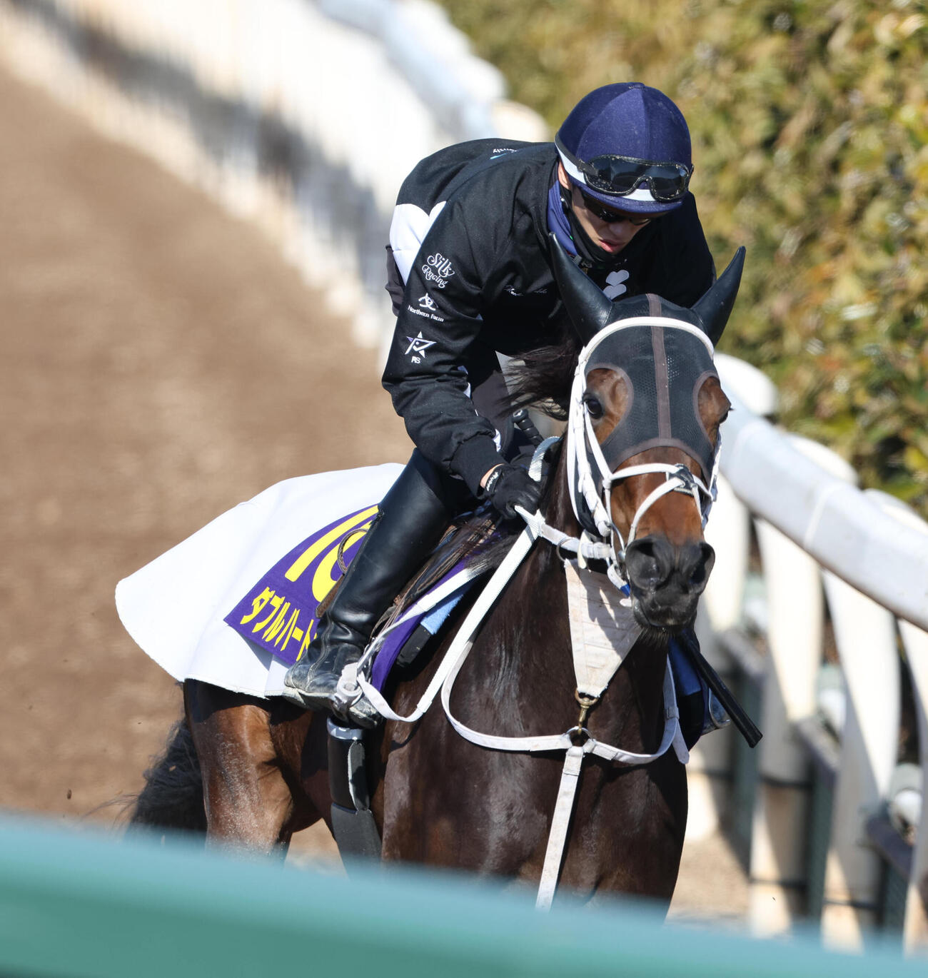 坂井騎手を背に坂路を単走で追い切るダブルハートボンド（撮影・白石智彦）