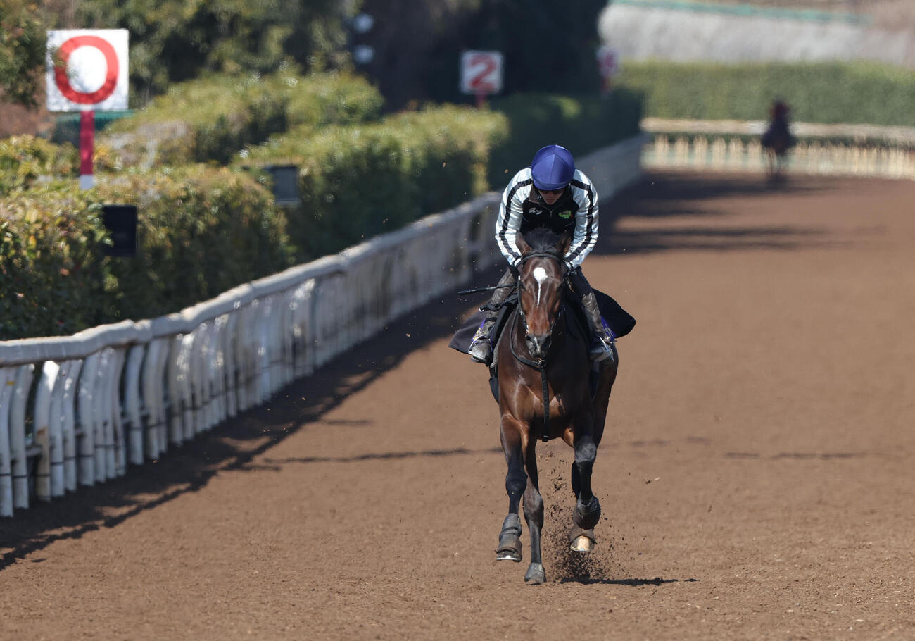 小牧加騎手を背に坂路を単走で追い切るラムジェット（撮影・白石智彦）