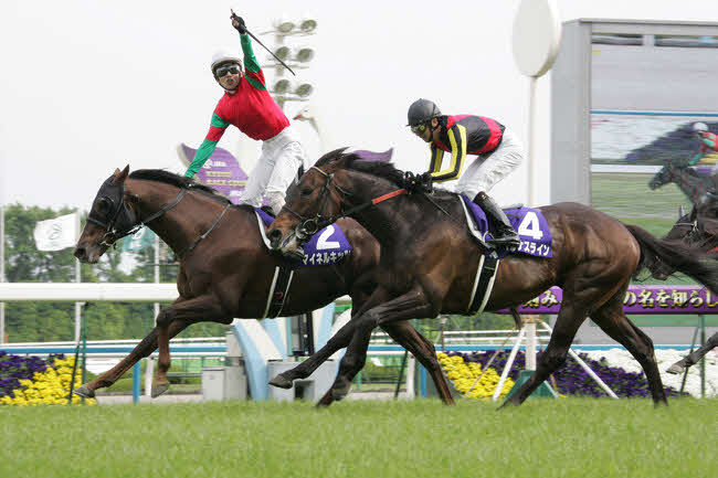 09年、天皇賞・春でアルナスラインとの競り合いを制して優勝したマイネルキッツ。鞍上は松岡正海騎手
