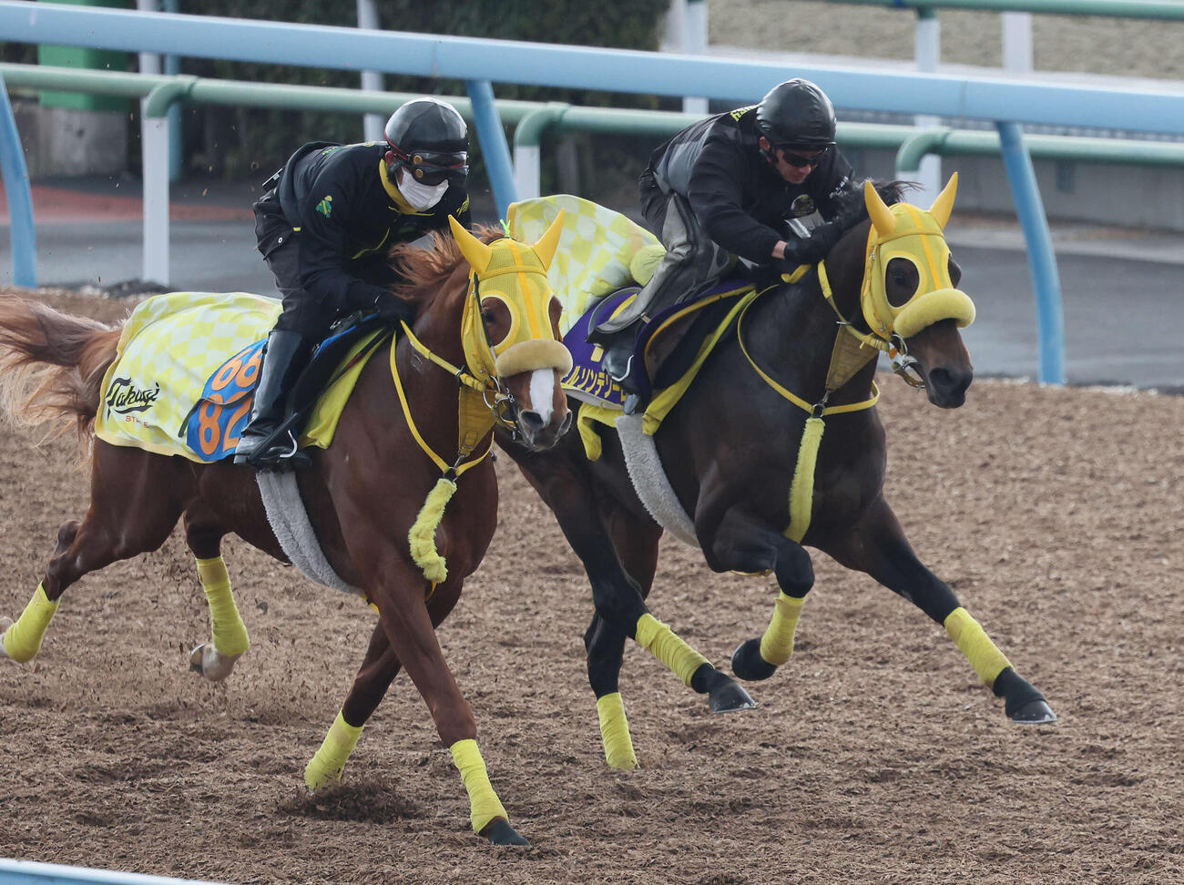 18日、ウィルソンテソーロ（右）は美浦ウッドでグロバーテソーロと併せて追い切られた
