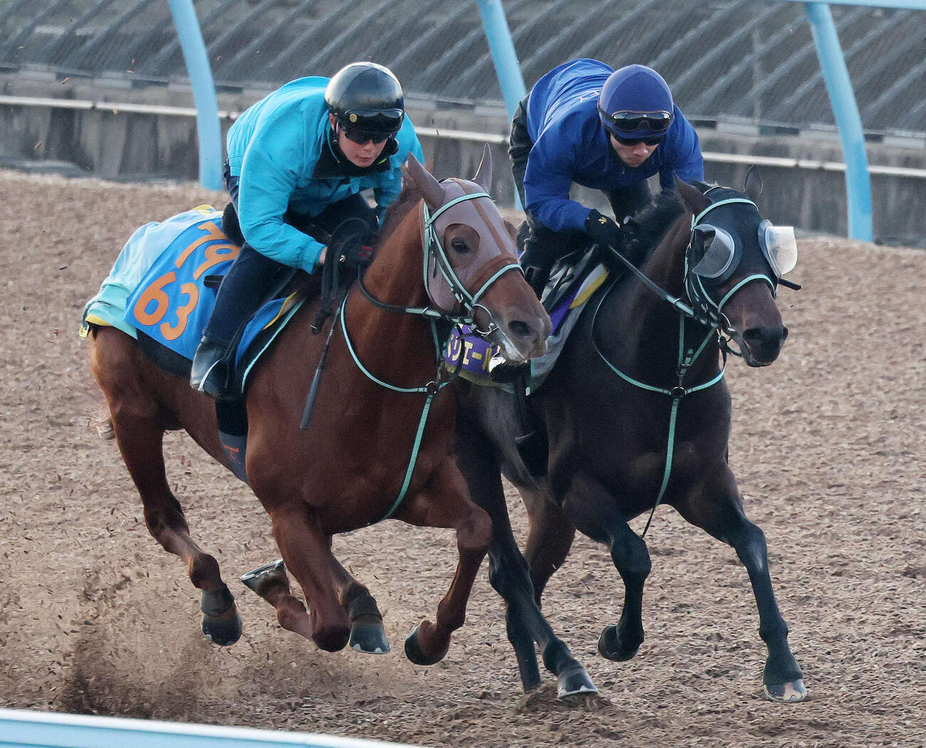 18日、ペリエール（右）は美浦ウッドでワンダラーと併せて追い切られた