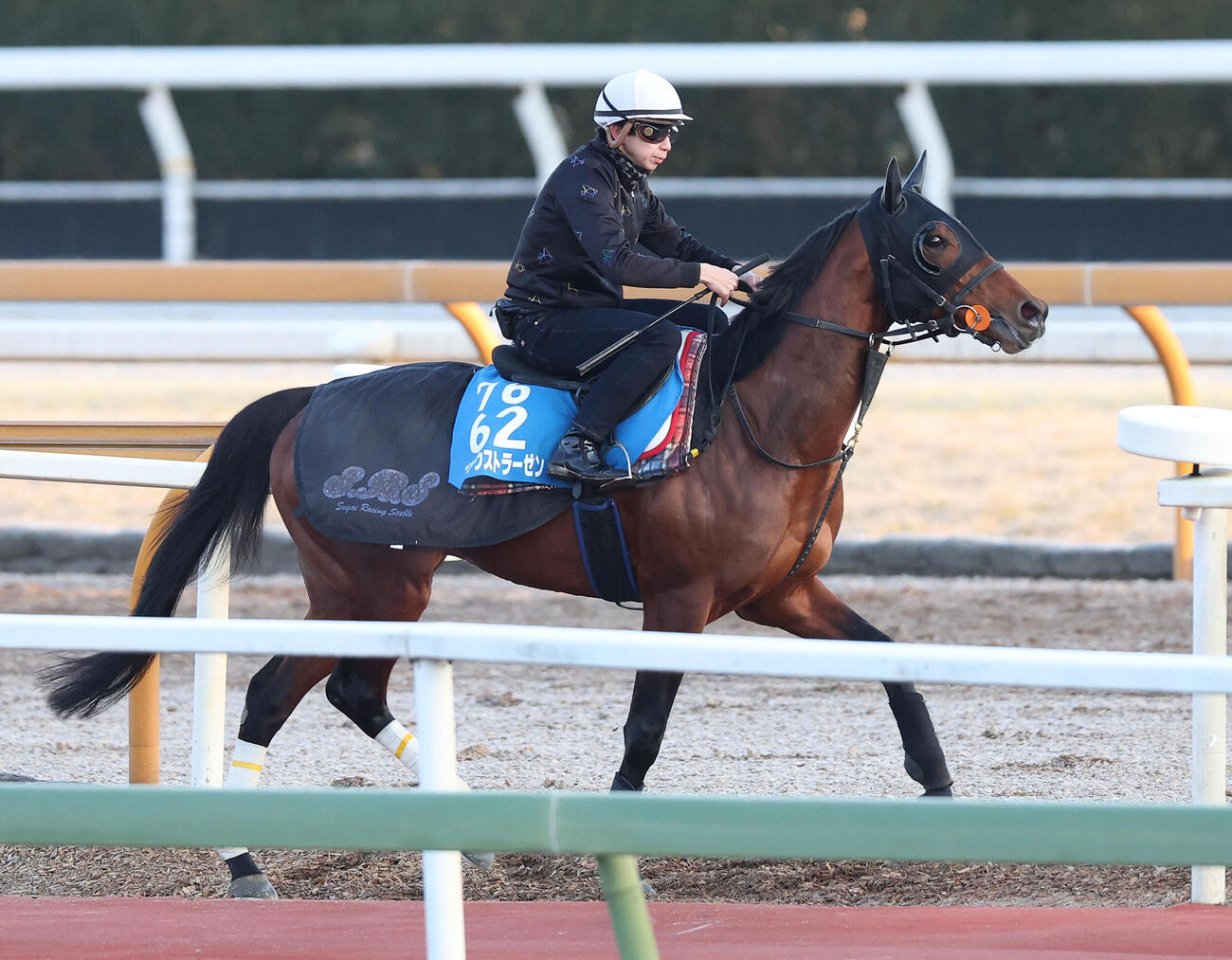 横山和騎手を背に馬場入りするファウストラーゼン（撮影・白石智彦）