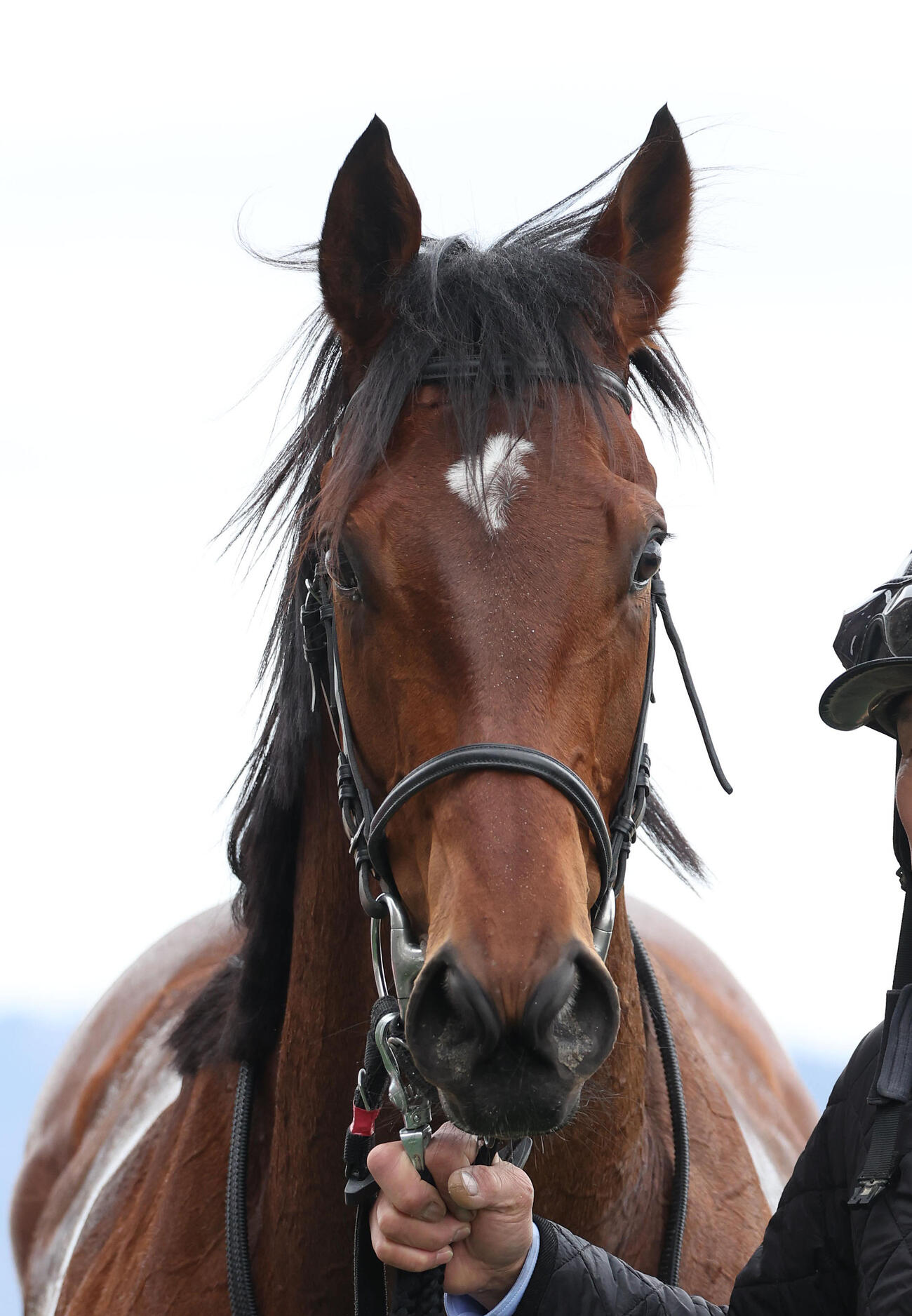 スマートジュリアス（2026年2月撮影）