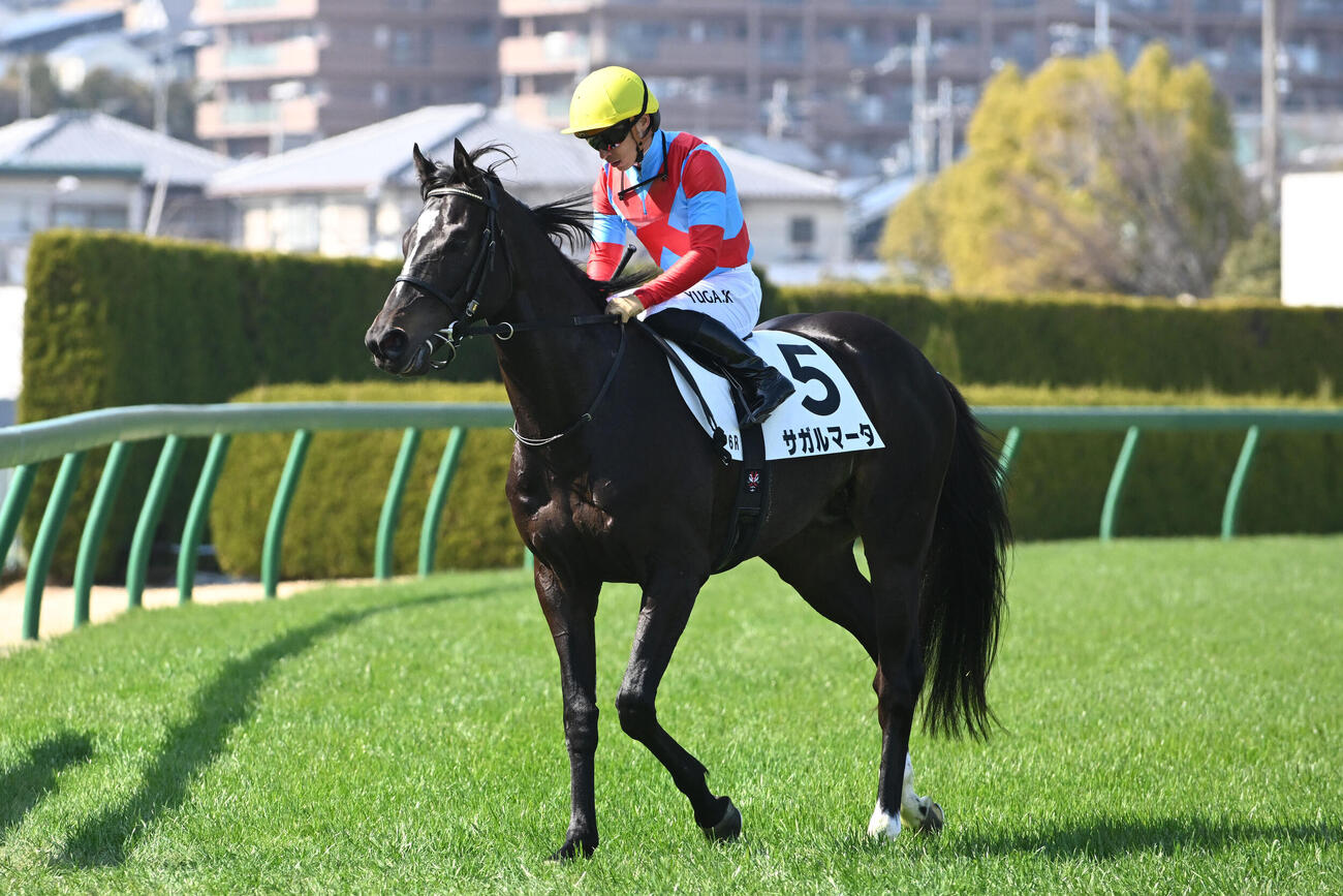 初勝利を挙げたサガルマータ（撮影・滝沢美穂子）