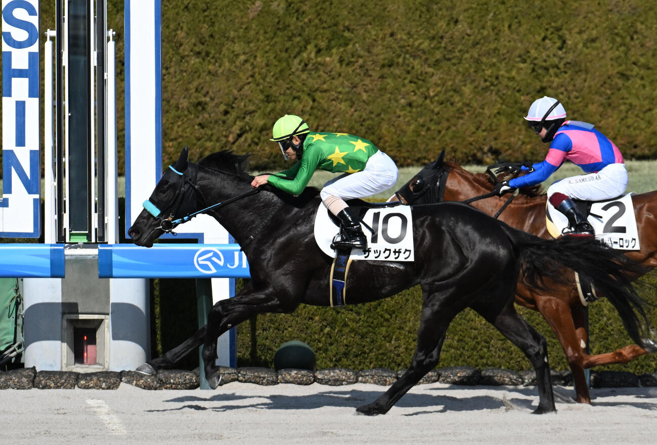 阪神7R、1着でゴールしたザックザク（撮影・滝沢美穂子）